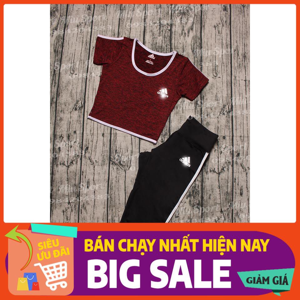 Set Đồ Tập Gym Nữ 💖Free Ship💖 Bộ đồ tập gym nữ Big Size Quần Lửng Áo Croptop Có Tay Vải mịn đẹp thấm hút mồ hôi tốt