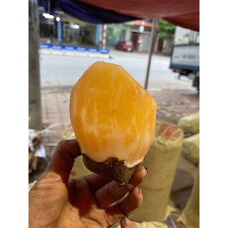 Combo 3kg sâm đất Y Tý