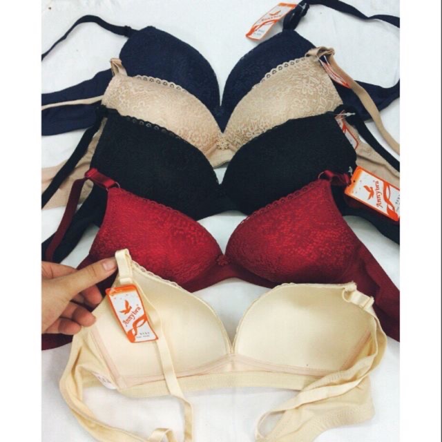 (8632 ren mỏng thái ) áo lót anny thái ko gọng đệm mỏng cao cấp