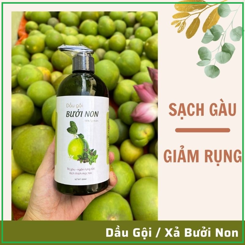 Dầu Gội Bưởi Non Handmade giúp Giảm Gàu, Nấm, Ngứa, Rụng Tóc 500ml - 100% Thiên Nhiên - Tiemxabong201 | BigBuy360 - bigbuy360.vn