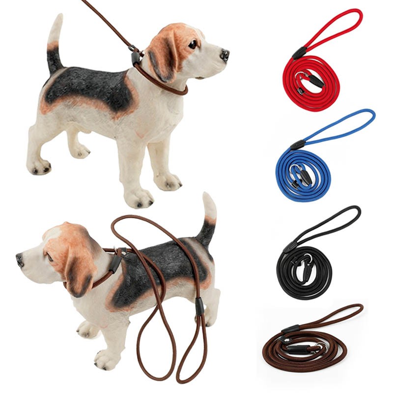 Dây nylon Dắt Thú Cưng Đi Dạo Bằng Hợp Kim