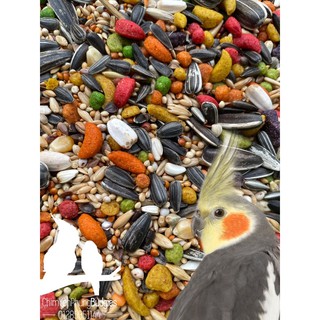 500G | HẠT HỖN HỢP MIX ZUMPREEM CHO VẸT