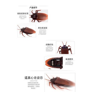 Gián Điều Khiển Từ Xa