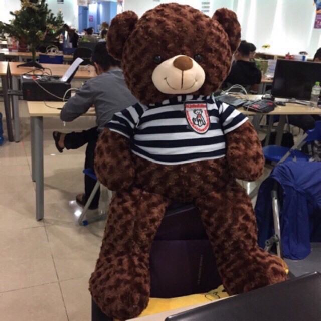 Gấu bông teddy hàng xuất khẩu Sheen bedding khổ 1m2 cao 1m