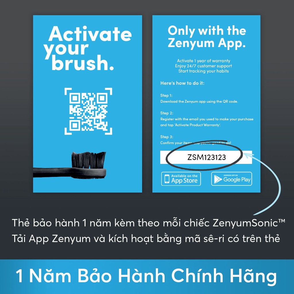 Combo 3 Bàn Chải Đánh Răng Điện Zenyum Sonic