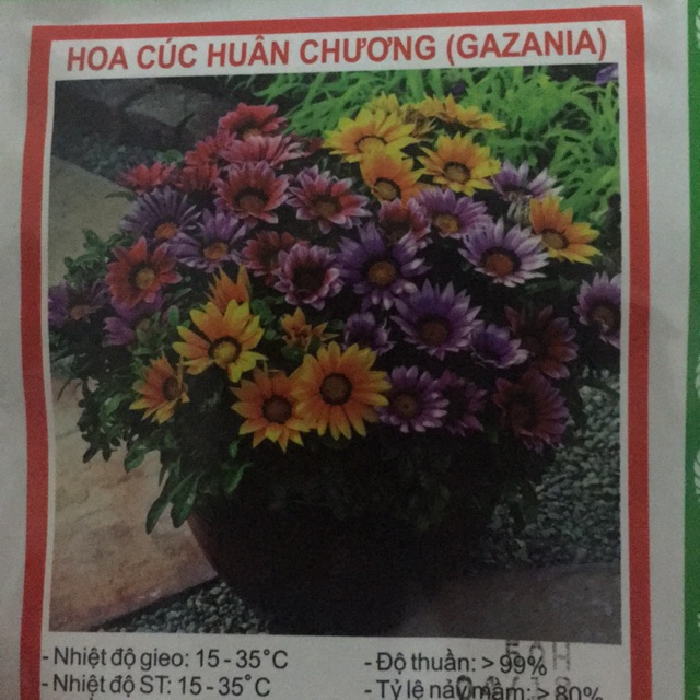 Combo hạt giống 200k