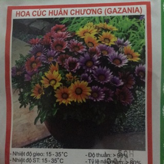 Combo hạt giống 200k