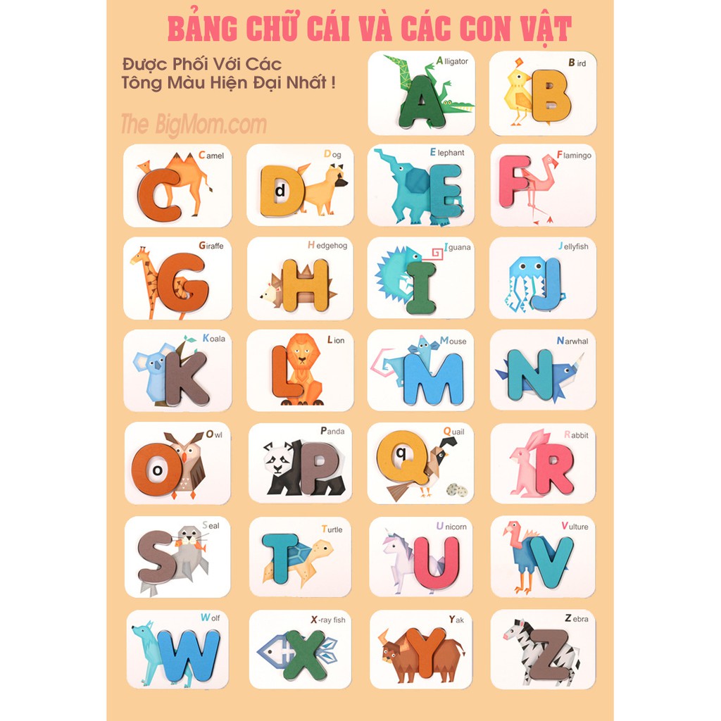 Flashcard Cho Bé Học Tiếng Anh Và Bảng Chữ Cái Cực Xinh, Cực Hiệu Quả [ 𝗛𝗮̀𝗻𝗴 𝗟𝗼𝗮̣𝗶 𝟭]