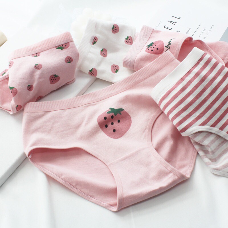 [SET 5C] 5 quần lót học sinh- sinh viên cotton  siêu dễ Thương DT