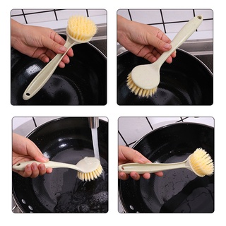 CÂY RỬA CHÉN LÚA MẠCH