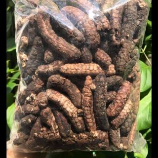 1kg chuối hột rừng ngâm rượu