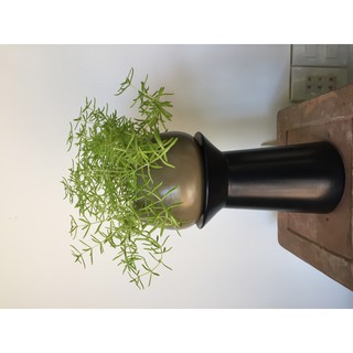 Đôn để chậu mini gốm sứ nam bộ hàng xuất khẩu