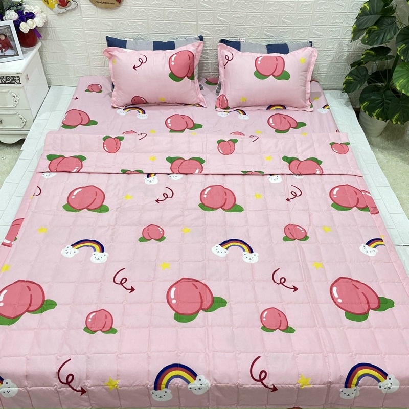 Sét Ga Gối Cotton Poly 3 Món Nhiều Mẫu Mới Nhất 2021