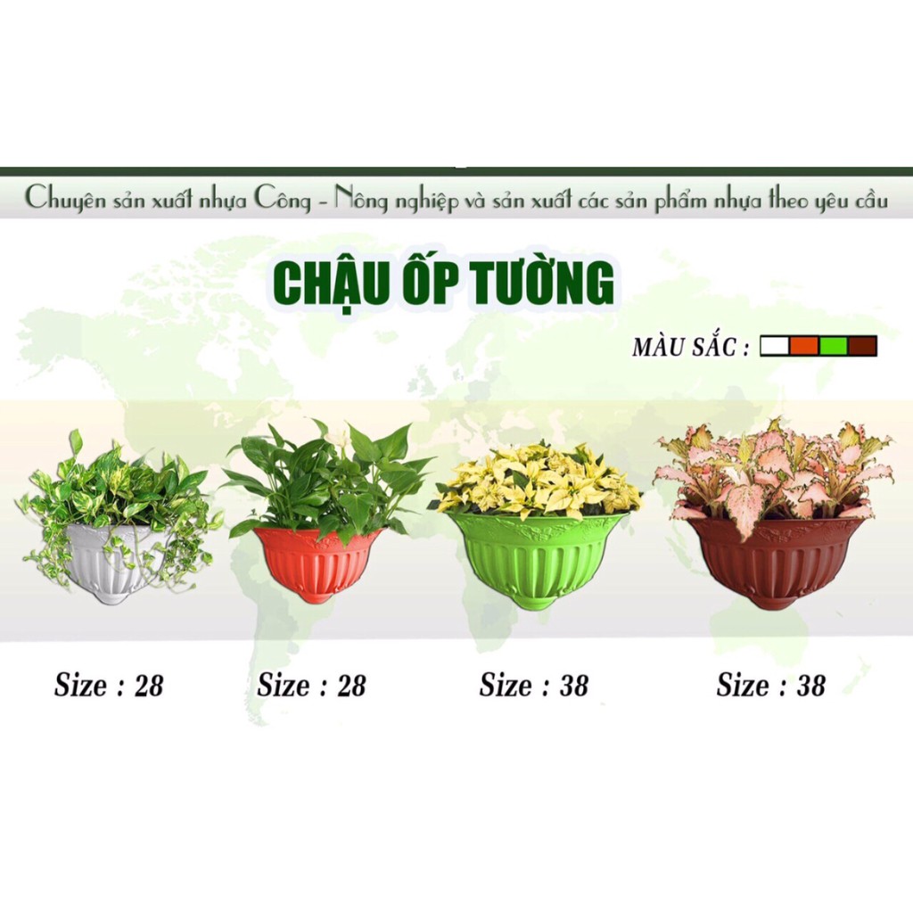 Chậu ốp tường size 38 cm