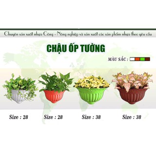 Chậu ốp tường size 38 cm
