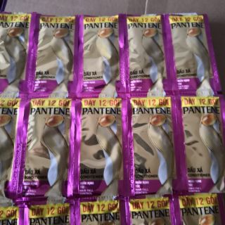 Dầu gội, dầu xã dây các loại