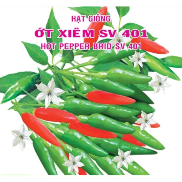HẠT CÂY ỚT XIÊM - 1g