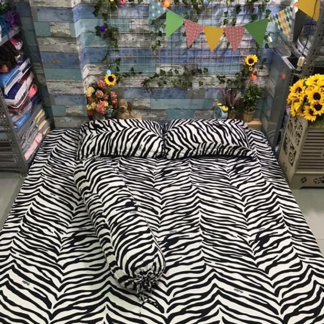 Drap thun hàn quốc