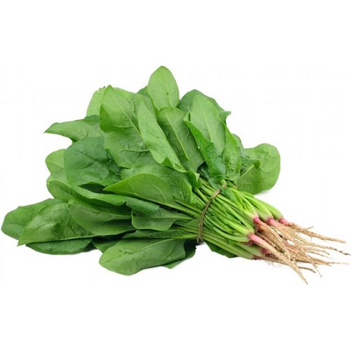 Hạt Giống Rau Chân Vịt / Cải Bó Xôi   - Giàu Dinh Dưỡng