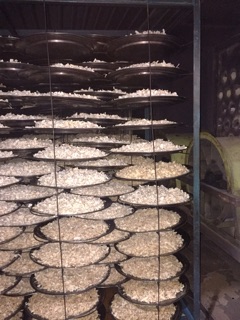Dừa sấy giòn 300g, 500g