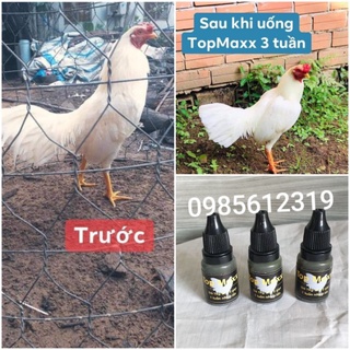 Topmaxx - dinh dưỡng cho gà đá