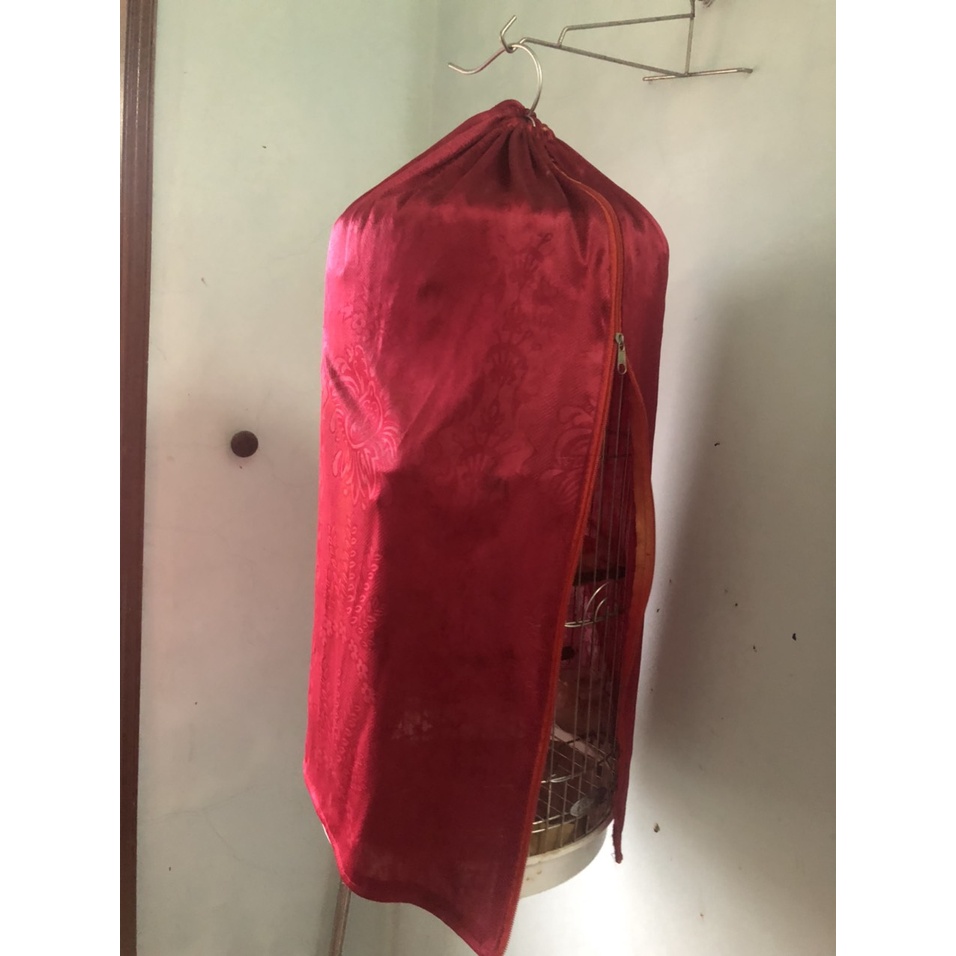 áo lồng chim chào mào choè inox