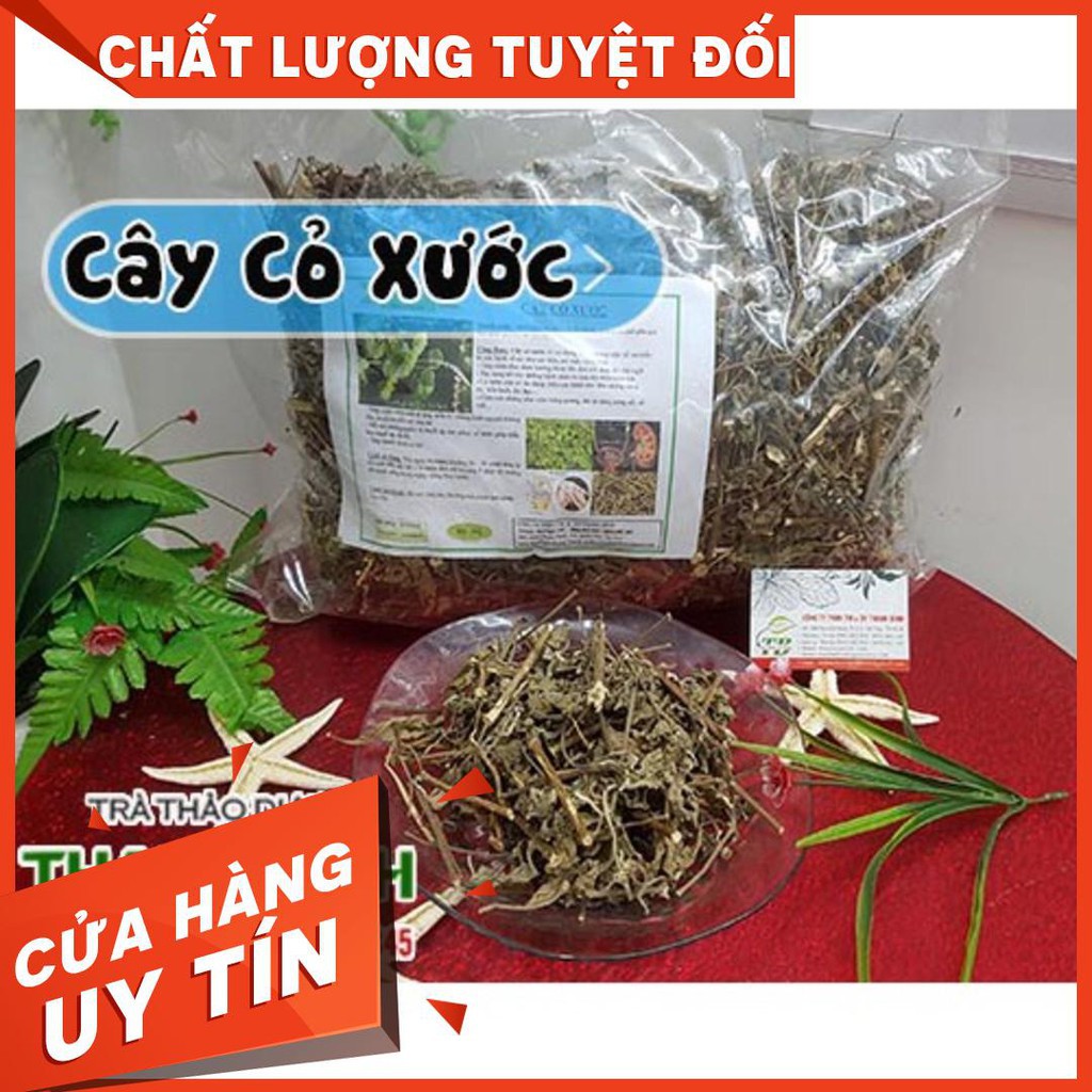 Cây Cỏ Xước 1Kg - Sấy khô Loại 1 - Thảo Dược Uy Tín