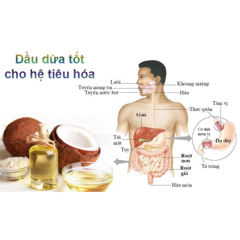 [ Combo 5 Mua 5 Tặng 1] Tinh Dầu Dừa Nguyên Chất Bến Tre