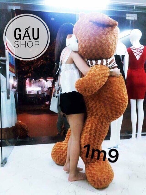 Gấu bông teddy mặc áo khổ vải 2m