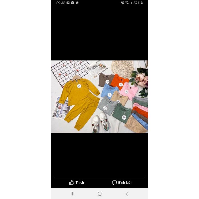combo 4 bộ minky thun lạnh