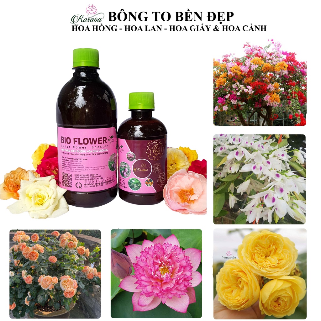 Phân bón hữu cơ vi sinh kích thích ra hoa ROSAVA cho cây cảnh, hoa hồng, hoa giấy, hoa lan, sen đá