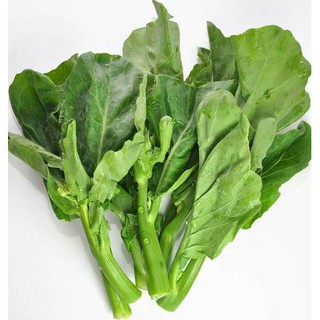 5gr - HẠT GIỐNG RAU CẢI RỔ