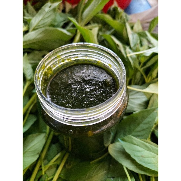 🌿🌿XỐT CHẤM LÁ É TƯƠI - ĐƯỢC LÀM BẰNG LÁ É TƯƠI VÀ GIA VỊ ĐỘC QUYỀN