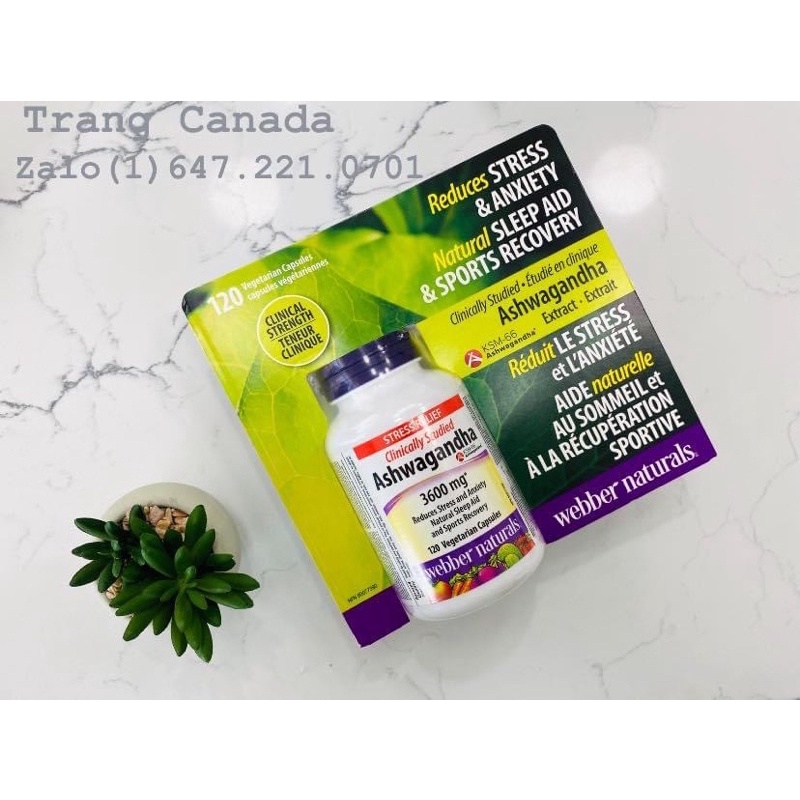 VIÊN UỐNG NHÂN SÂM ẤN ĐỘ ASHWAGRANDHA 3600mg WEBBER canada
