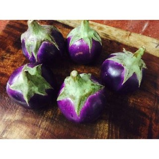 Gói 50 Hạt Giống Cà Bát Tím Cao Sản luckyseed hạt siêu rẻ