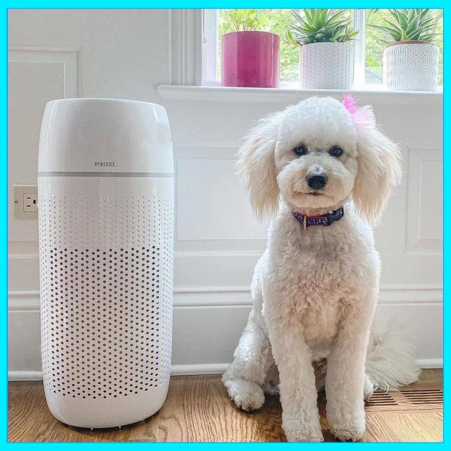 Máy lọc không khí khử mùi lông vật nuôi Homedics AP-PET35 HTS