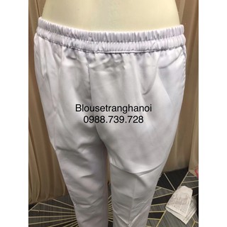 Quần Blouse giá rẻ