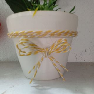 Dây thừng giấy 2mm