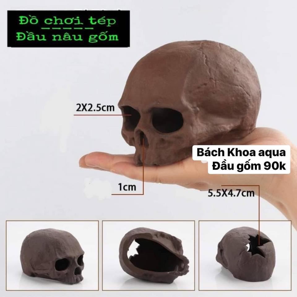 Đầu lâu gốm trang trí bể cá 90k