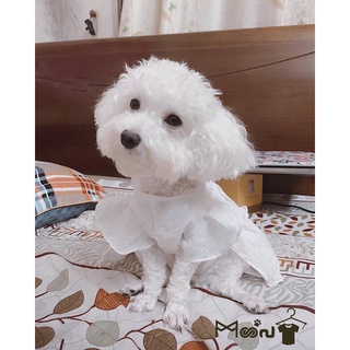 MOON| Váy NH hoa trắng nhỏ
