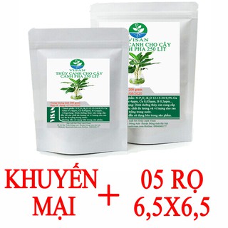 DUNG DỊCH DINH DƯỠNG THỦY CANH CÂY CẢNH PHA 250 LÍT