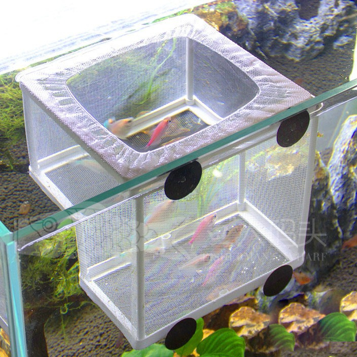 Lồng dưỡng cá tép 1 ngăn Boyu NB-3201
