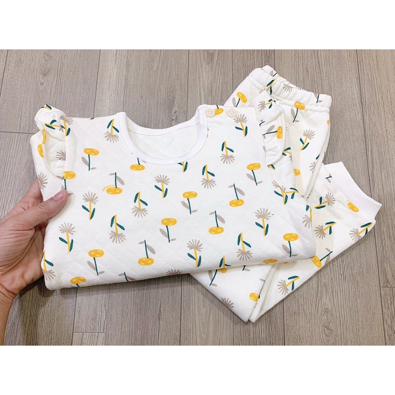 Bộ trần bông xuất Hàn