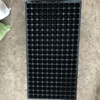 Khay Ươm 128 Lỗ bền đẹp