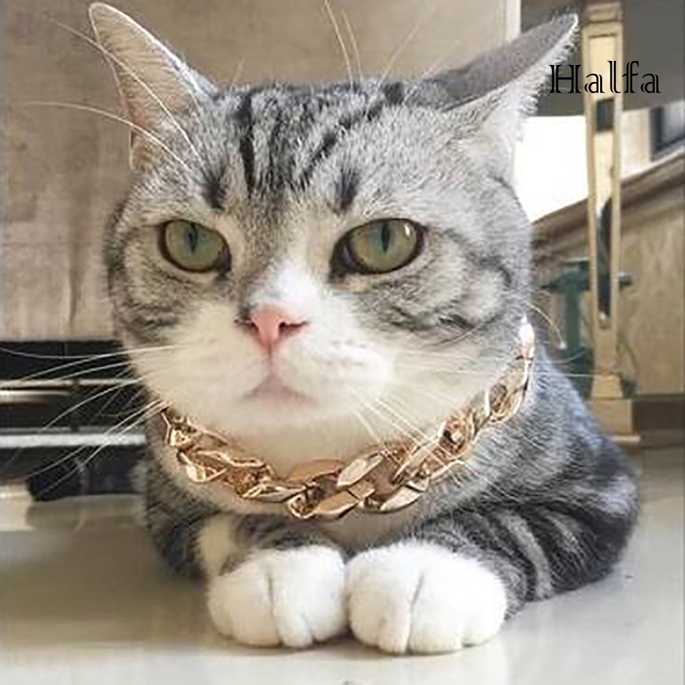 Vòng Cổ Choker Cho Thú Cưng Kích Thước 36cm / 45cm