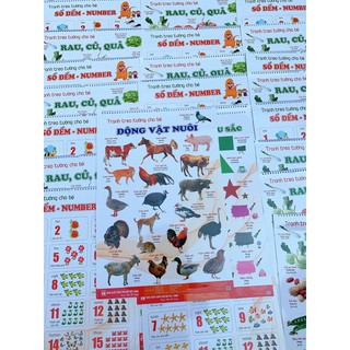 Bộ tranh treo tường song ngữ Anh Việt 14 chủ đề cho bé giúp bé nhận biết thế giới quan