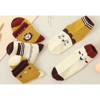 Set 5 đôi tất trẻ em xuất hàn