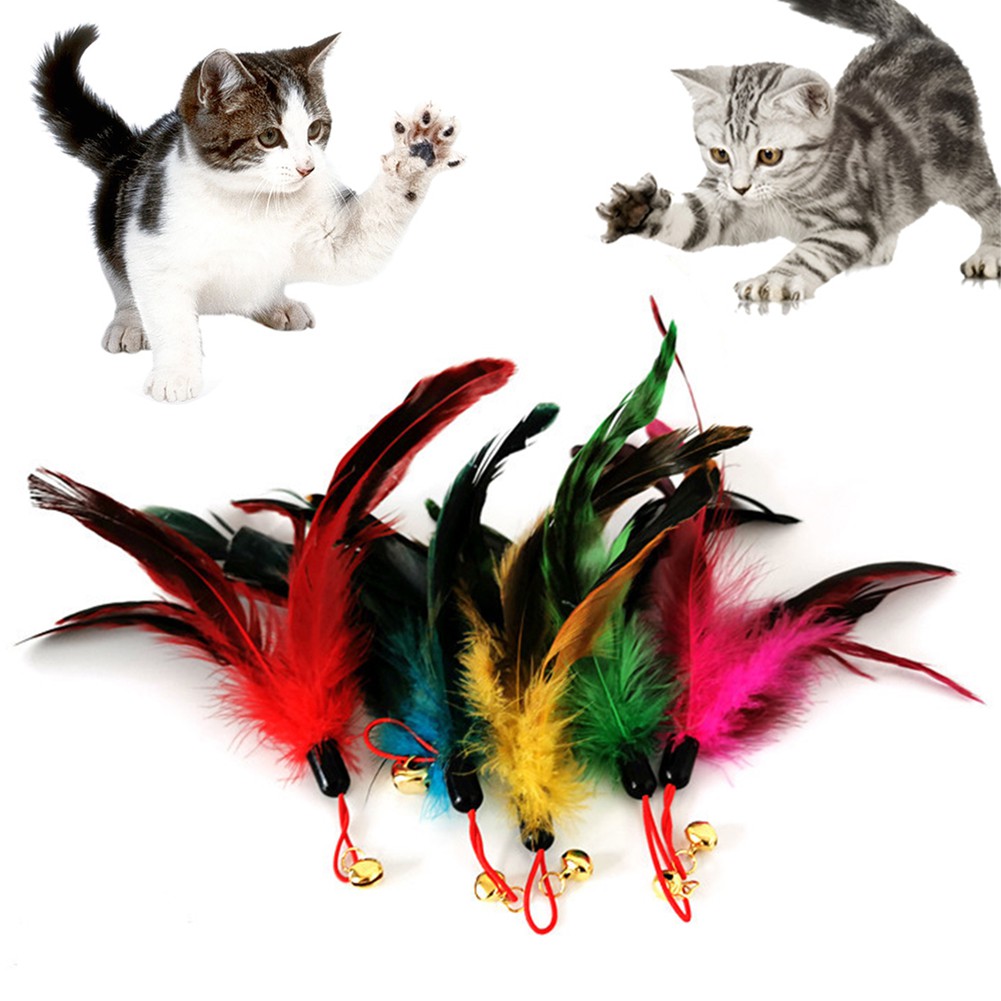 Đầu lông vũ thay thế cho đồ chơi trêu mèo
