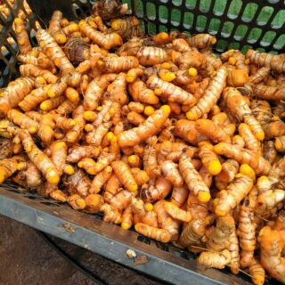 Tinh bột nghệ vàng 1kg
