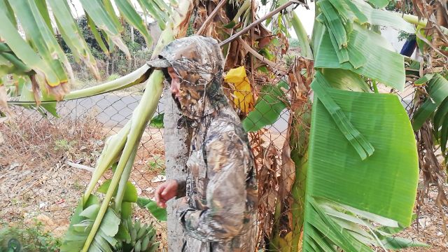 Bộ đồ ngụy trang màu  cỏ khô